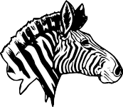 Rochester Zebras Class of 2005